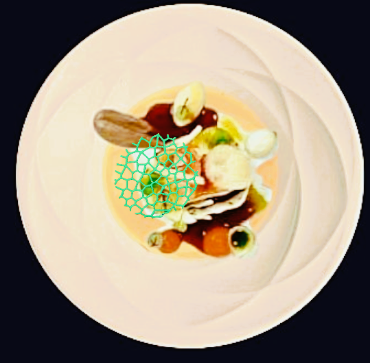 Molecular Gastronomy